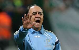 Marcelo Oliveira: 'O Palmeiras ainda não está preparado para brigar lá na frente'