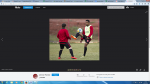 Copa Paulista: Sem folga no feriado, Linense faz jogo-treino neste sábado