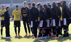 Botafogo x Criciúma - Líder ainda vai ter interino para derrubra o Tigre de Petkovic