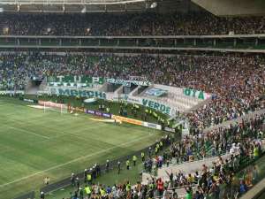Com alta procura na internet, Palmeiras projeta fim de venda de ingresso no papel