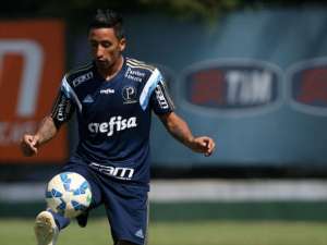 Lucas Barrios e Zé Roberto podem ser as novidades do Palmeiras