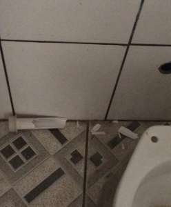 Copa Paulista: Presidente do União Barbarense diz que torcida do Rio Branco danificou banheiro do estádio