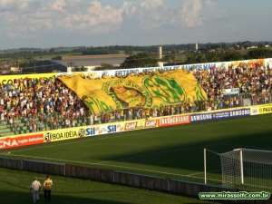 Copa Paulista: Leão arrecada 5 mil garrafas de pet em 