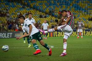 Fluminense 2 x 0 Goiás - Tricolor faz o dever de casa e consegue respirar no Brasileirão
