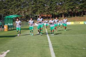 Chapecoense calcula que precisa de quatro vitórias nas rodadas finais para seguir na Série A