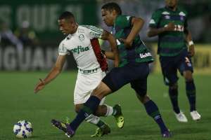 Palmeiras x Ponte Preta - Macaca tenta colocar mais um vexame na lista do Verdão para encostar no G4