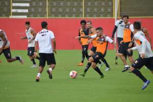 CRB x Vitória - Galo quer atrapalhar plano do Leão de alcançar Botafogo