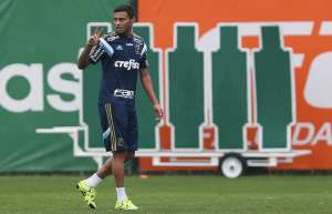 Palmeiras pode ter volta de Cleiton Xavier já para a partida contra o Fluminense