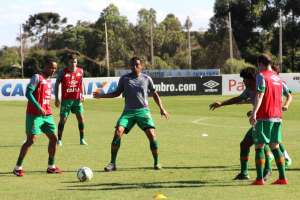 Depois de bater na trave na Sul-Americana, Chapecoense volta atenções para o Brasileirão