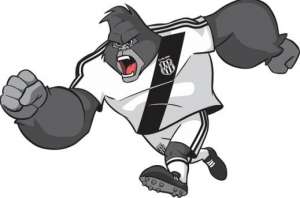 Ponte Preta adota gorila como mascote, mas diretor diz que continua sendo 'a Macaca'