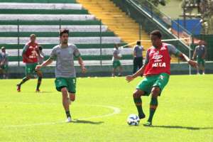 Figueirense x Chapecoense - Sem riscos de rebaixamento, Chape tenta complicar a vida do Figueira no clássico catarinense