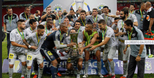 Botafogo: Da queda à ressurreição. Campeão da Série B!