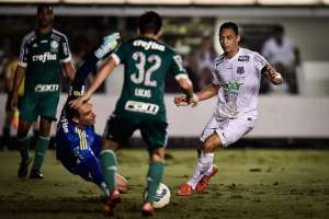 Palmeiras x Coritiba - Reservas do Verdão podem livrar Coxa do rebaixamento