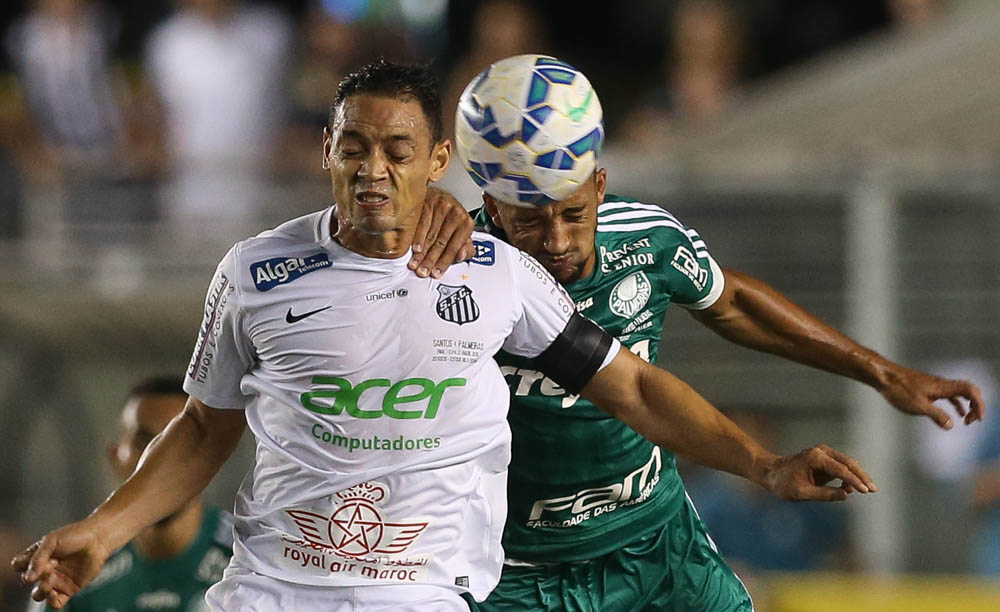 Ricardo Oliveira vem sendo o destaque do Santos na temporada