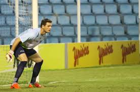 Palmeiras acerta as três primeiras contratações para 2016