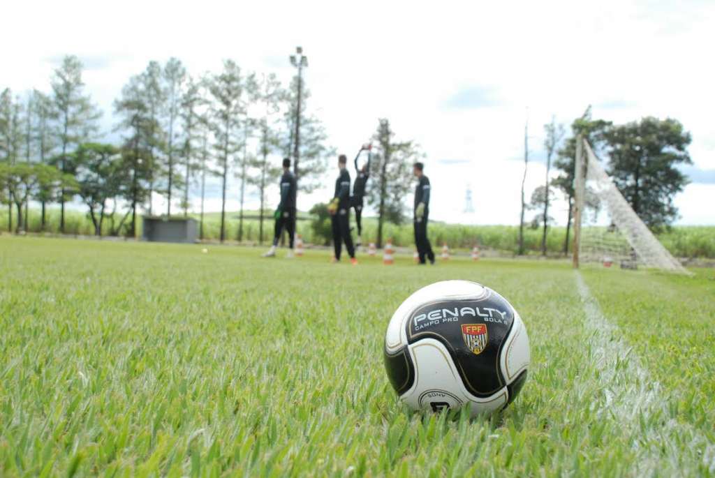 Bola de oito gomos do Campeonato Paulista