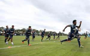 Paulistão: Palmeiras tem que 'cortar' 11 jogadores do elenco