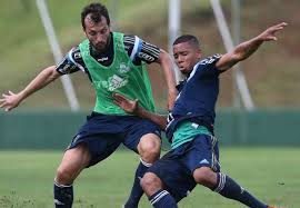 Paulistão: Com dores, Edu Dracena deixa treino do Palmeiras mais cedo
