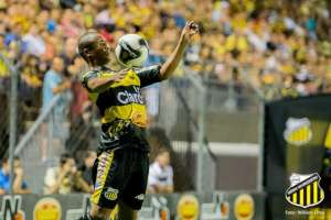 Paulistão: Novorizontino ainda tira motivação de empate com o Santos