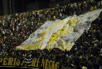 Paulistão: São Bernardo é mais um clube a participar do Futebol Sustentável 2 0002050145009 img