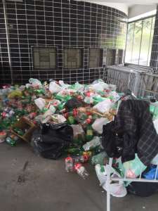 PAULISTÃO: Sábado será de Futebol Sustentável e São Paulo em campo