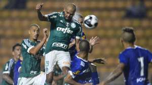 Palmeiras 3 x 0 Rio Claro - Verdão volta a vencer e rebaixa o Galo Azul