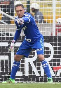 Paulistão: Após vitória, jogadores do Palmeiras pedem ajuda da torcida na Libertadores