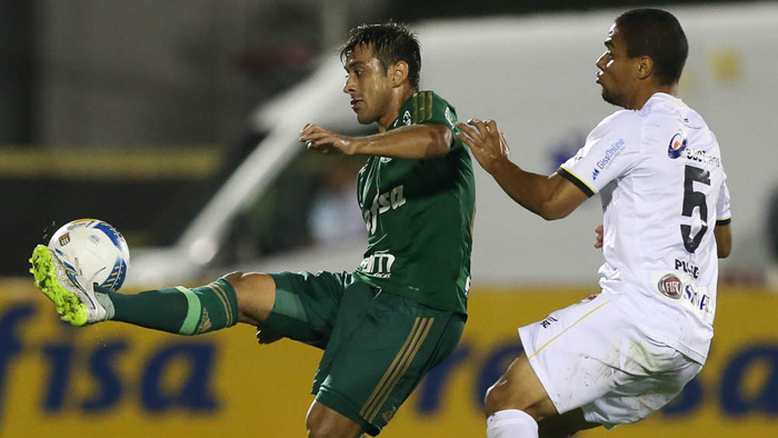 Palmeiras nunca foi derrotado pelo São Bernardo na história dos confrontos