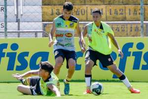 Paulista Sub 15 e Sub 17: Novorizontino joga no Quirinão diante do Olímpia