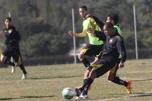 Série B: Cavalo não tem dúvida para escalar o Criciúma em busca do G4