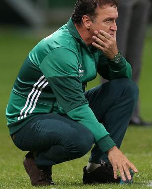 Cuca com os pés e as mãos no chão