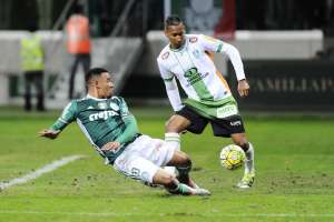 Palmeiras vai defender a liderança do Brasileiro no fim de semana