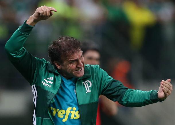 Cuca satisfeito com goleada e liderança do Palmeiras