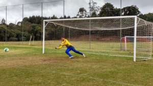 Série B: Paraná também perde goleiro e já começa a pensar na escalação