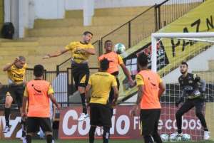 Série B: Criciúma perde volante, mas Roberto Cavalo trabalha substituto