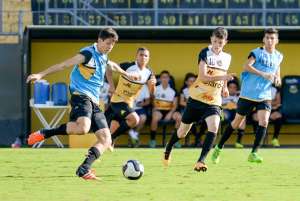 Paulista Sub 15 e Sub 17: Novorizontino joga fora de casa pela classificação