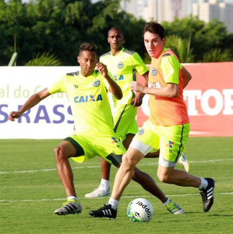 Cléo pede atenção do Goias contra o Criciúma dentro de casa