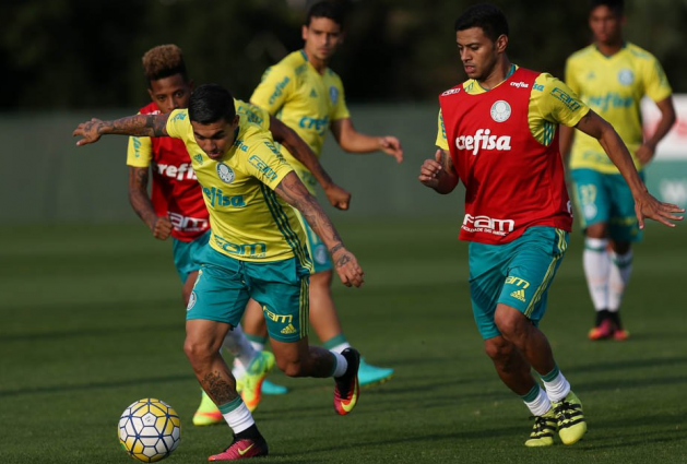 Palmeiras estreia nesta quarta na Copa do Brasil diante do Botafogo-PR