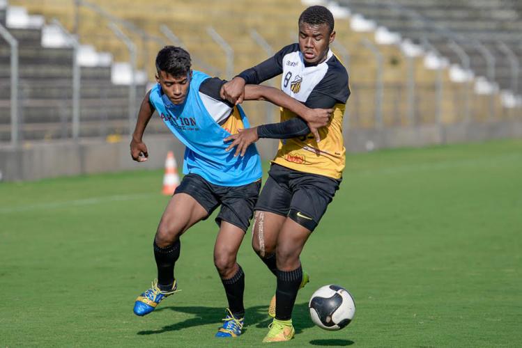 Categorias de base do Novorizontino fazem grande campanha no Paulista (Foto: Wiliam Lima/ Novorizontino)