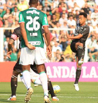Palmeiras é favorito diante do Sport abandonado por Oswaldo de Oliveira