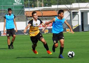 Paulista Sub 15 e Sub 17:  Novorizontino inicia busca por vaga na semifinal