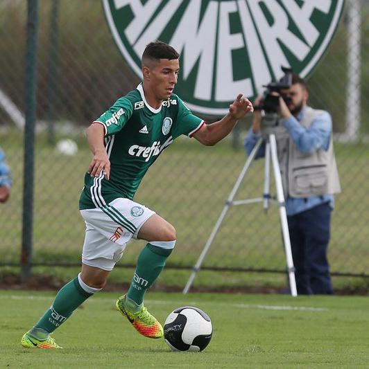 Palmeiras vai em busca de um bom resultado na Vila Belmiro (Foto: Divulgação / Palmeiras) 