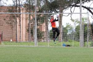 Paulistão: Edson Só, no Penapolense, recebe quatro reforços para 2017