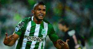 Paulistão: Mattos diz ter desistido de contratar Pratto ou Borja para o Palmeiras