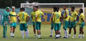Palmeiras chega ao número ideal de jogadores traçado por Eduardo Baptista