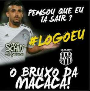 Carta aberta à William Pottker, o Bruxo da Macaca