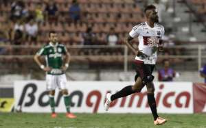 Ituano x Santos - Galo comeu o porco e agora quer o peixe!