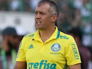 Técnico do Palmeiras exalta vitória e vê time pronto para a Libertadores