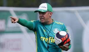 Paulistão: Técnico do Palmeiras confirma volta de Tchê Tchê contra o São Paulo