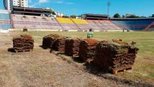 Segundona: América faz amistoso e prepara novo gramado do Teixeirão